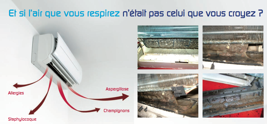 VapNet : nettoyage écologique à la vapeur Guadeloupe, France
